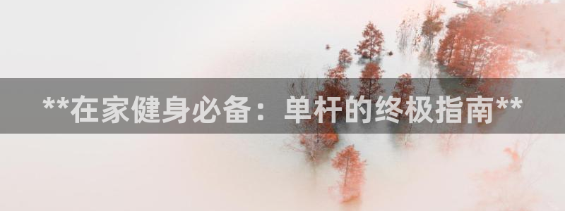 富联平台线路检测中心怎么样：**在家健身必备：单杆的