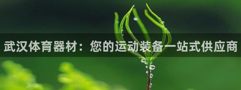 富联商城：武汉体育器材：您的运动装备一站式供应商