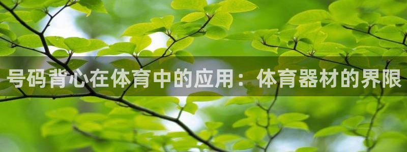 富联娱乐玩法机制是什么：号码背心在体育中的应用：体育