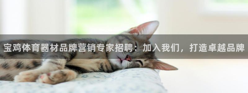 富联娱乐戚少风：宝鸡体育器材品牌营销专家招聘：加入我