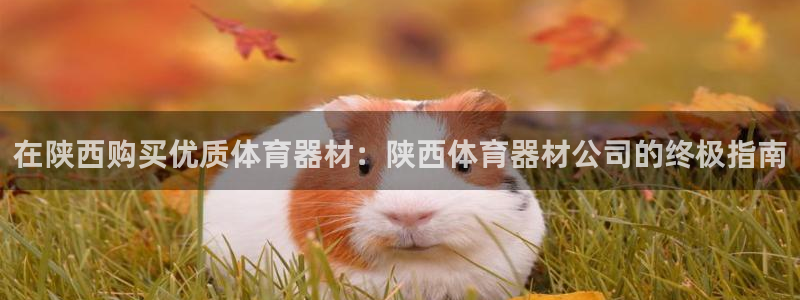 富联娱乐总代理电话：在陕西购买优质体育器材：陕西体育