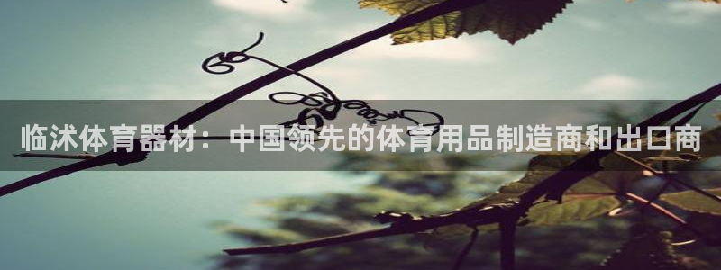 富联平台线路检测中心电话：临沭体育器材：中国领先的体