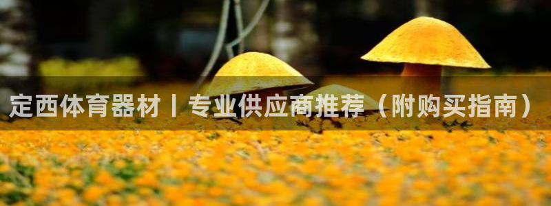 富联娱乐客户端app下载服务器异常：定西体育器材丨专