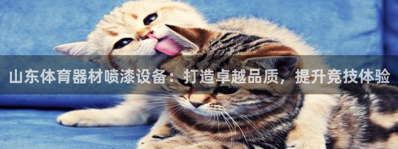 富联平台靠 5o69I7：山东体育器材喷漆设备：打造
