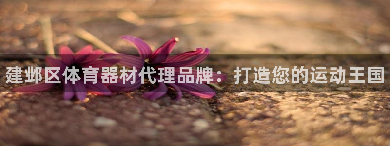 香港富联集团：建邺区体育器材代理品牌：打造您的运动王