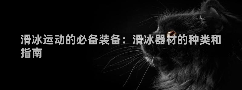 富联平台木 5o69I7：滑冰运动的必备装备：滑冰器