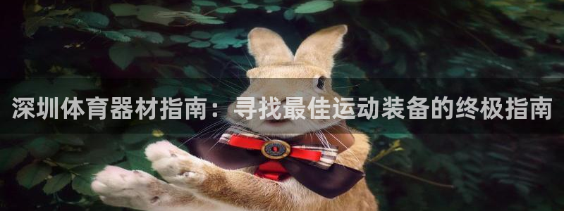 中国富联股票行情：深圳体育器材指南：寻找最佳运动装备