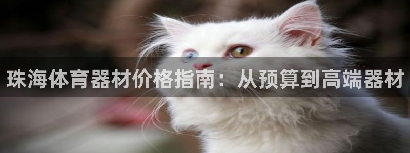 富联娱乐官方网站入口下载：珠海体育器材价格指南：从预