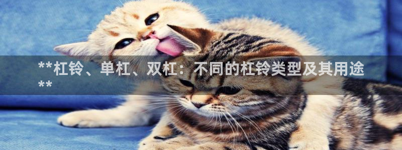 富联娱乐代理怎么做的：**杠铃、单杠、双杠：不同的杠