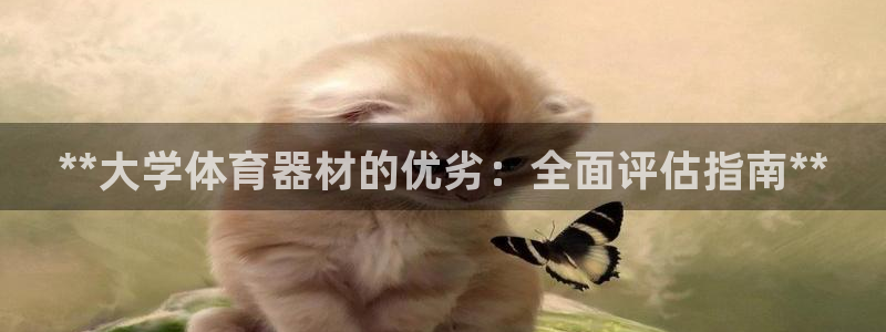 富联申购中签号：**大学体育器材的优劣：全面评估指南