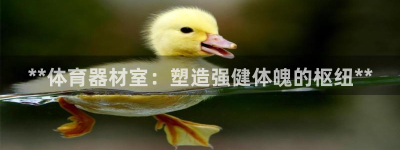 富联娱乐客服微信公众号：**体育器材室：塑造强健体魄
