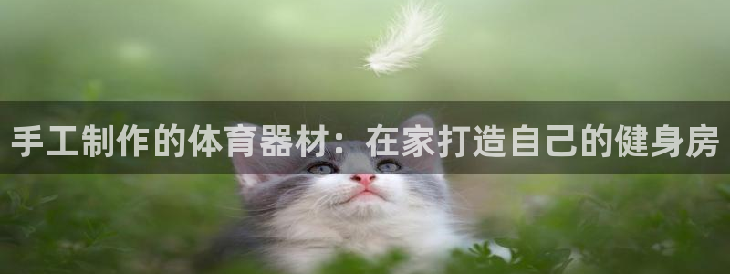 富联集团最新消息新闻：手工制作的体育器材：在家打造自