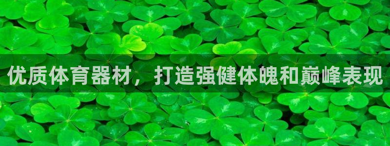 富联集团最新消息今天：优质体育器材，打造强健体魄和巅