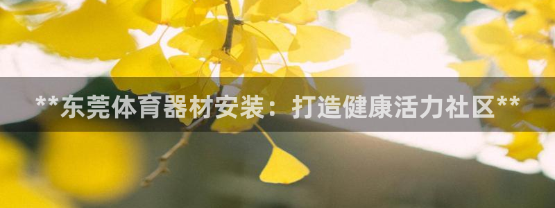 富联平台总代：**东莞体育器材安装：打造健康活力社区