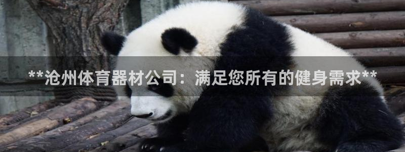 富联平台线路检测中心：**沧州体育器材公司：满足您所