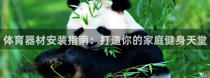 富联平台总代：体育器材安装指南：打造你的家庭健身天堂