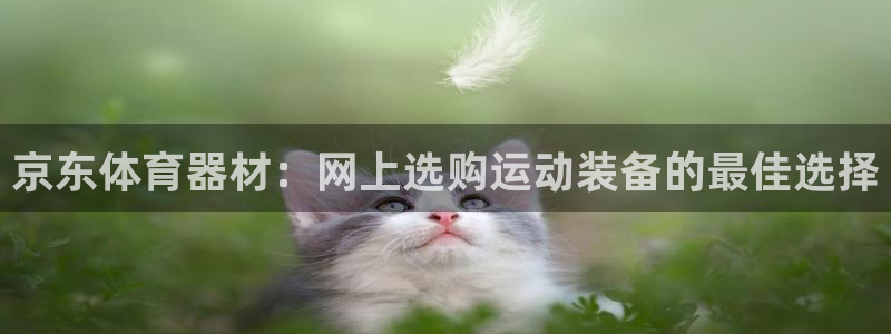 富联股份股票：京东体育器材：网上选购运动装备的最佳选