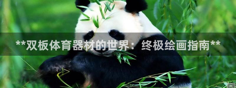 富联官网登陆网址：**双板体育器材的世界：终极绘画指
