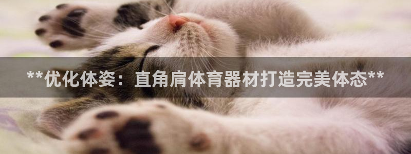 富联官方网站下载app：**优化体姿：直角肩体育器材