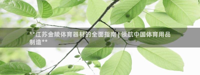 富联娱乐律7O777：**江苏金陵体育器材的全面指南