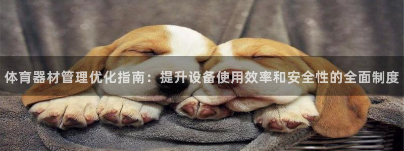 富联平台总代理是谁：体育器材管理优化指南：提升设备使