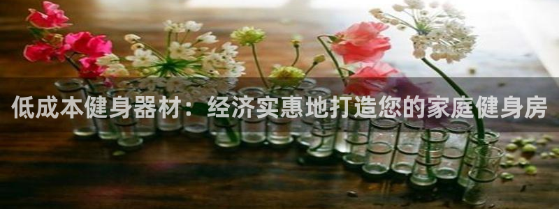 富联娱乐下载官网：低成本健身器材：经济实惠地打造您的