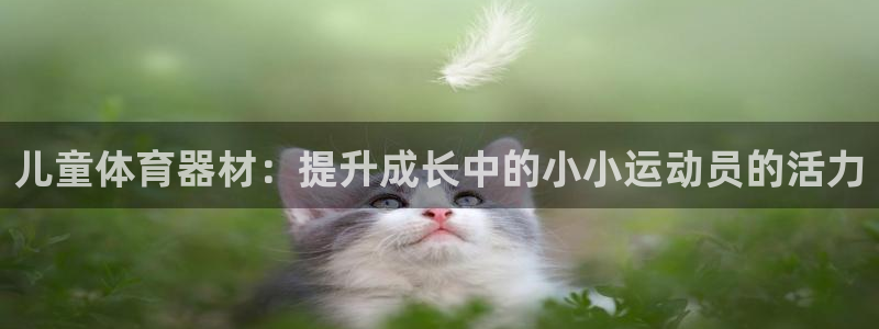 富联平台离7O777：儿童体育器材：提升成长中的小小