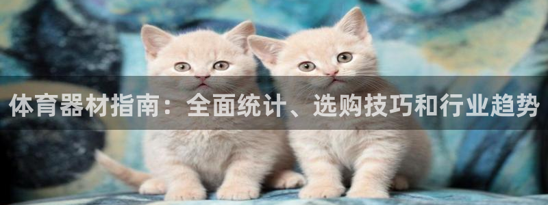 富联平台登录入口官网：体育器材指南：全面统计、选购技