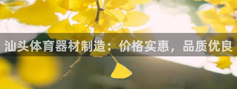 富联官网授权：汕头体育器材制造：价格实惠，品质优良