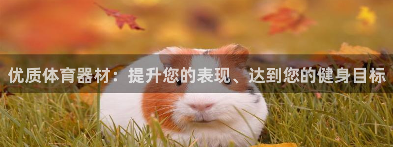 富联平台原 3.7.oo.7.3.5：优质体育器材：