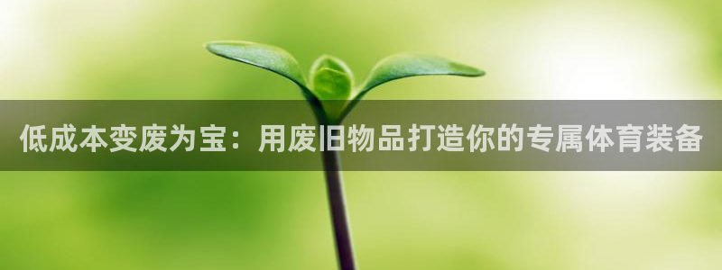 富联娱乐测速软件下载：低成本变废为宝：用废旧物品打造