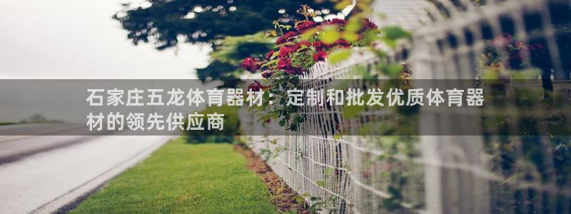 富联工坊：石家庄五龙体育器材：定制和批发优质体育器
