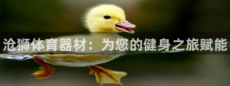 富联娱乐下载：沧狮体育器材：为您的健身之旅赋能