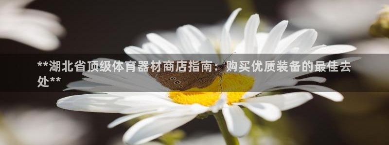 富联娱乐正规吗安全吗：**湖北省顶级体育器材商店指南