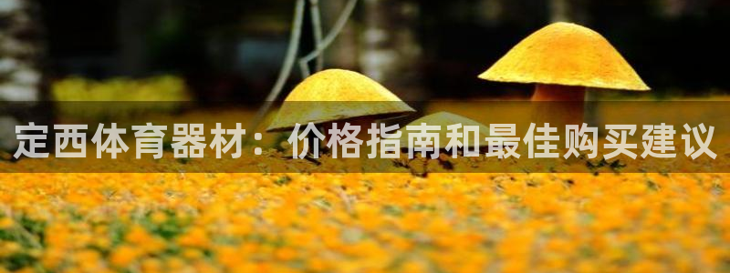 富联工坊：定西体育器材：价格指南和最佳购买建议