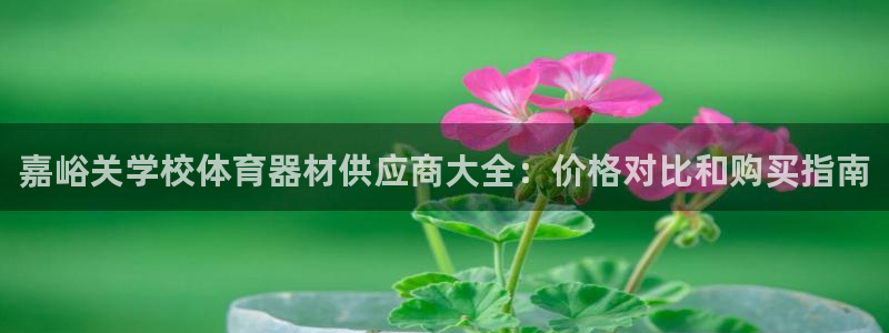 富联平台安装流程：嘉峪关学校体育器材供应商大全：价格