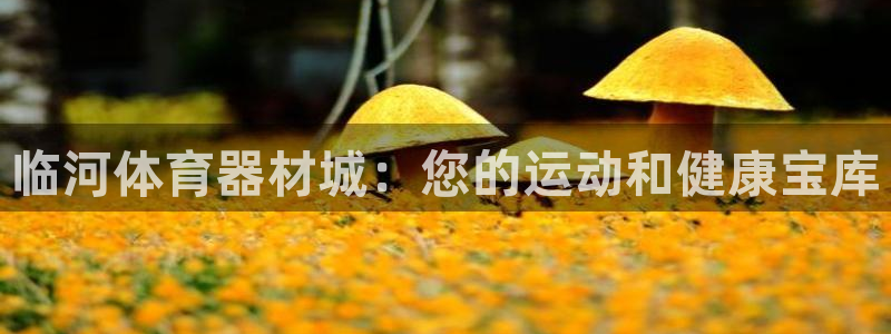 富联娱乐老板叫什么：临河体育器材城：您的运动和健康宝