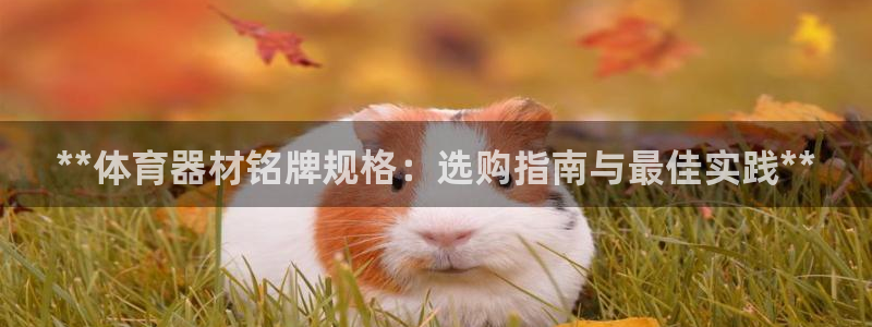 富联平台安装视频教程：**体育器材铭牌规格：选购指南