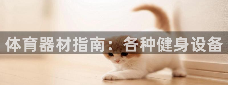 深圳富联智能制造产业创新中心：体育器材指南：各种健身