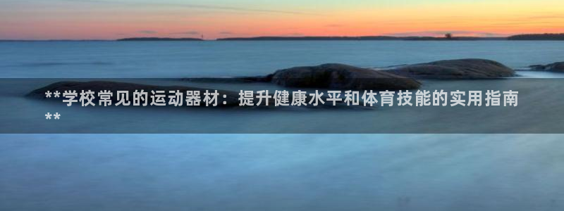 富联平台可以 5O6917：**学校常见的运动器材：