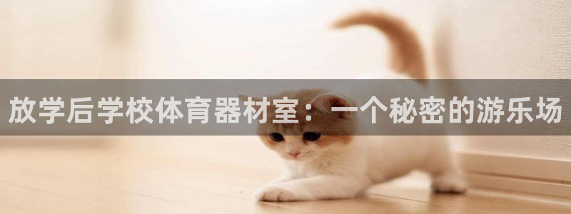 富联官网登陆网址：放学后学校体育器材室：一个秘密的游
