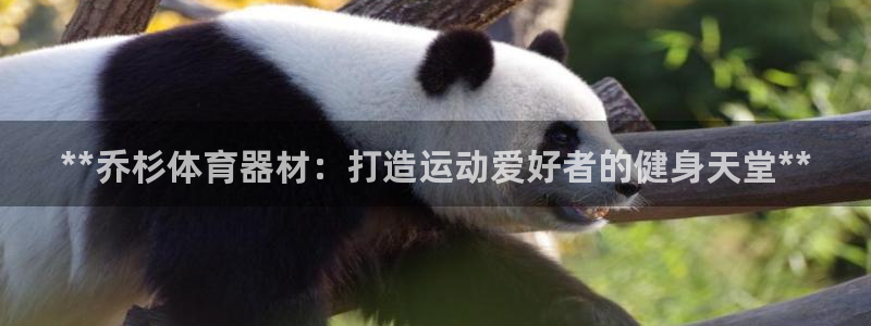 富联平台系 5O6917 富联：**乔杉体育器材：打