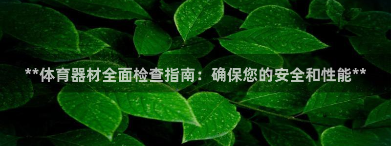 富联申购：**体育器材全面检查指南：确保您的安全和性