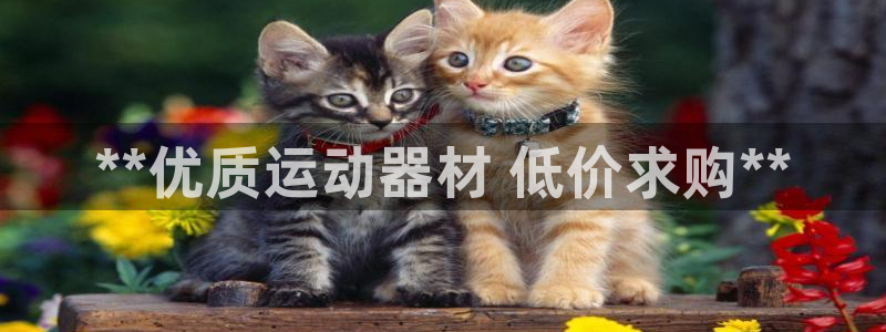 富联娱乐官方网站下载安卓：**优质运动器材 低价求购