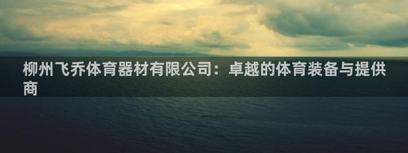 富联娱乐平台开户条件：柳州飞乔体育器材有限公司：卓越