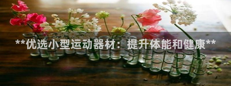 富联平台非7O777：**优选小型运动器材：提升体能