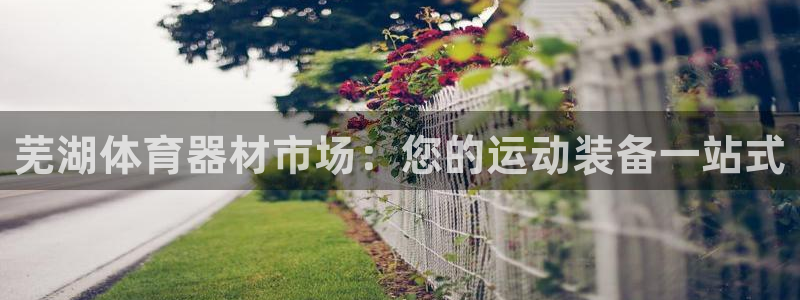 富联娱乐总代理电话：芜湖体育器材市场：您的运动装备一