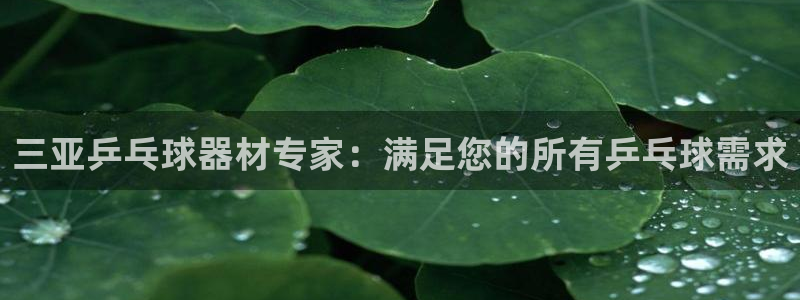 富联金融：三亚乒乓球器材专家：满足您的所有乒乓球需求