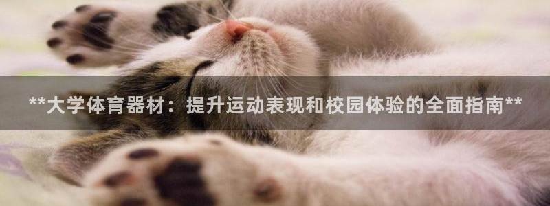 富联娱乐下载app：**大学体育器材：提升运动表现和