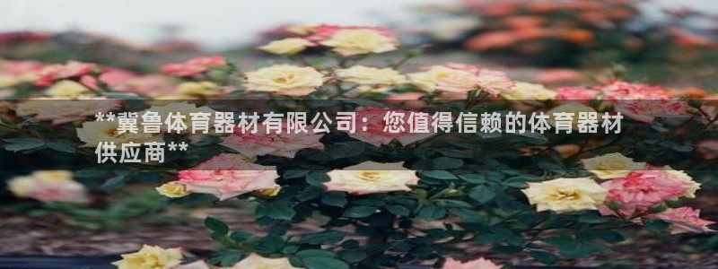 富联娱乐在线注册链接：**冀鲁体育器材有限公司：您值